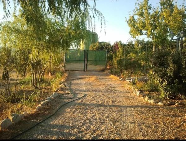 Terreno en Finca el Rondelo, 42  43