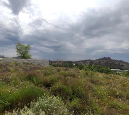 Terreno en Laguna, 18