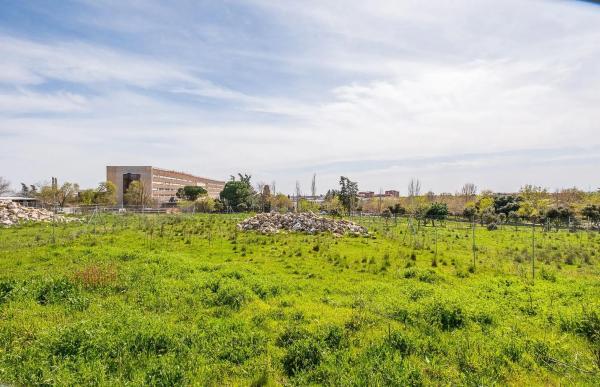 Terreno en calle Teofilo Arranz