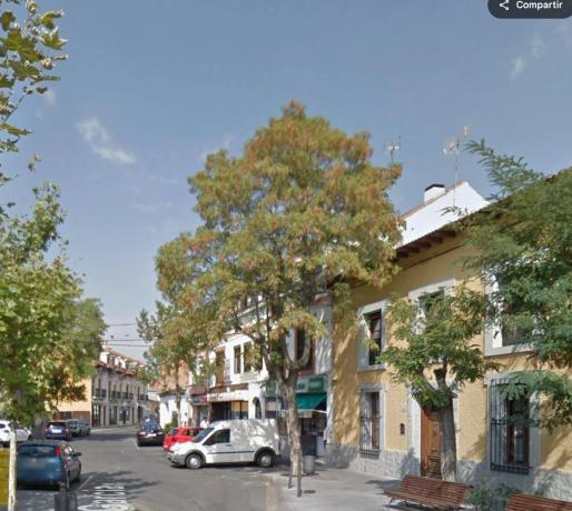 Terreno en calle Torrelaguna