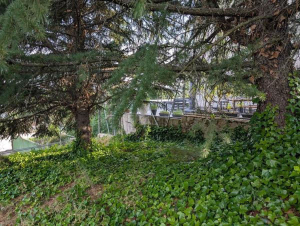 Terreno en calle de la Atalaya, 20