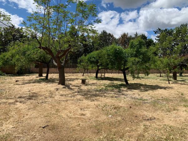 Terreno en calle del Cedro, 20