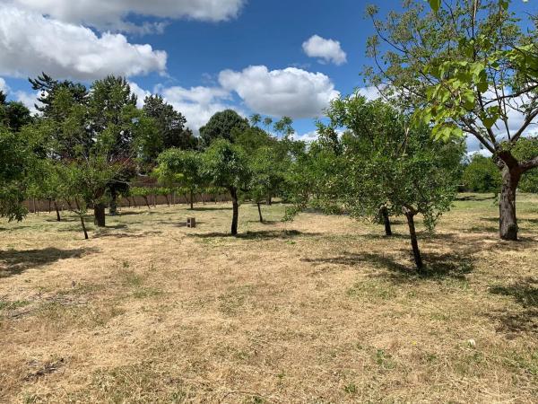 Terreno en calle del Cedro, 20