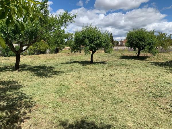 Terreno en calle del Cedro, 20