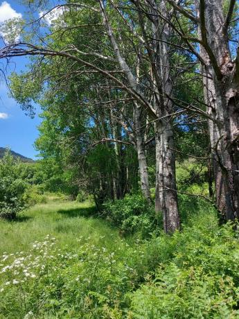 Terreno en Parcela 217 - La Presa s/n