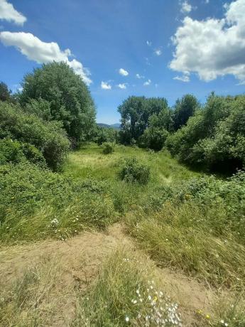 Terreno en Parcela 217 - La Presa s/n