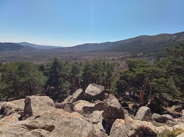 Terreno en Parcela 217 - La Presa s/n