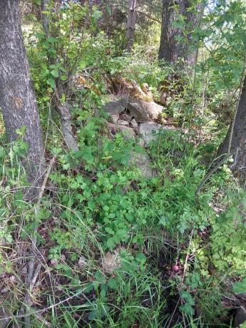 Terreno en Parcela 217 - La Presa s/n