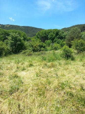Terreno en Parcela 217 - La Presa s/n