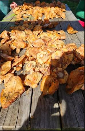 Terreno en Parcela 217 - La Presa s/n