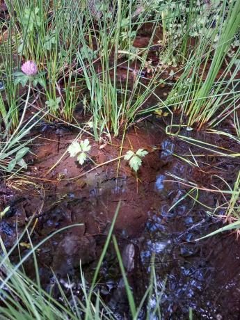 Terreno en Parcela 217 - La Presa s/n