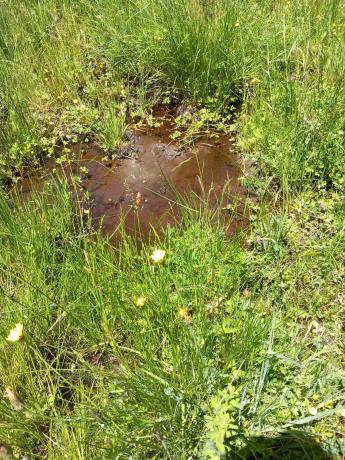 Terreno en Parcela 217 - La Presa s/n