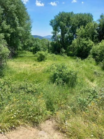 Terreno en Parcela 217 - La Presa s/n