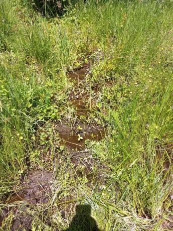 Terreno en Parcela 217 - La Presa s/n