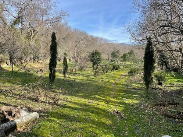 Terreno en Calleja de las Hazas