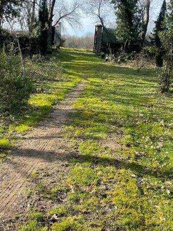 Terreno en Calleja de las Hazas