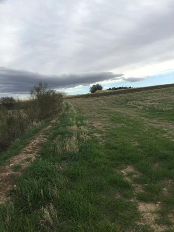 Terreno en Polígono 11, 9