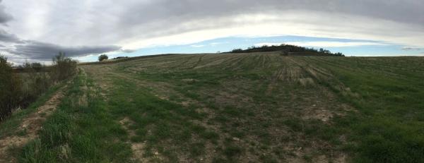 Terreno en Polígono 11, 9