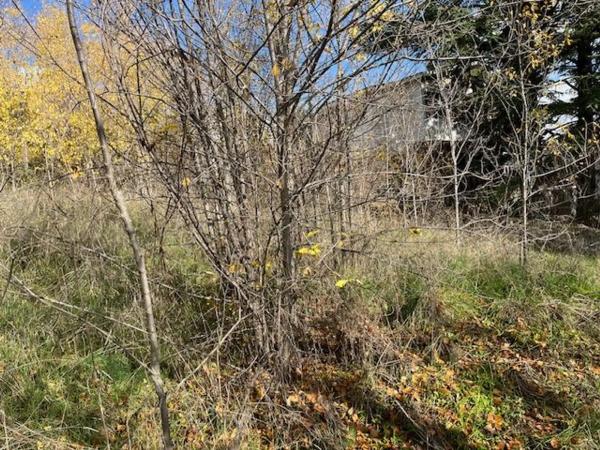 Terreno en calle San Pedro