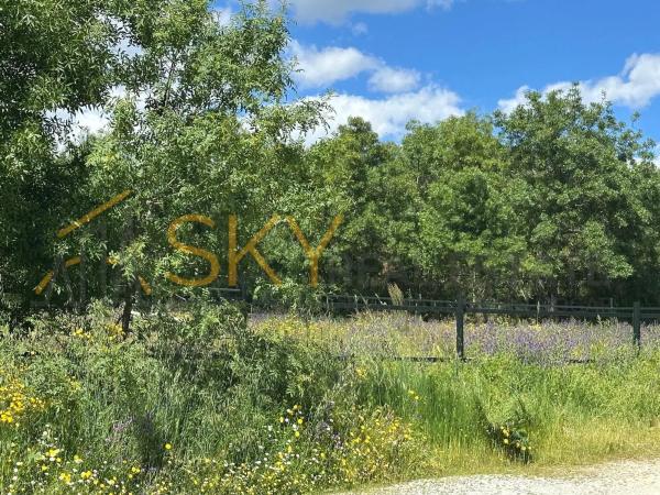 Terreno en Calleja Majalahita