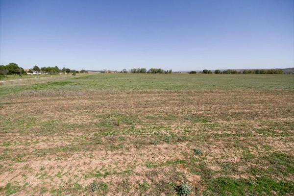 Terreno en fandango, 1