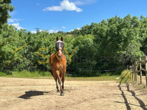 Terreno en Calleja Majalahita