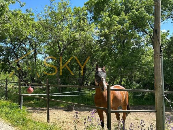 Terreno en Calleja Majalahita