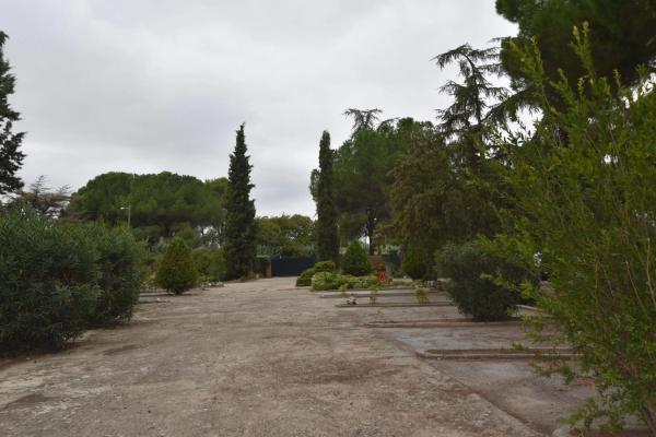 Terreno en Fuente el Saz de Jarama