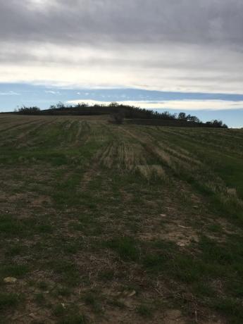 Terreno en Poligono 11, 23 Parcela