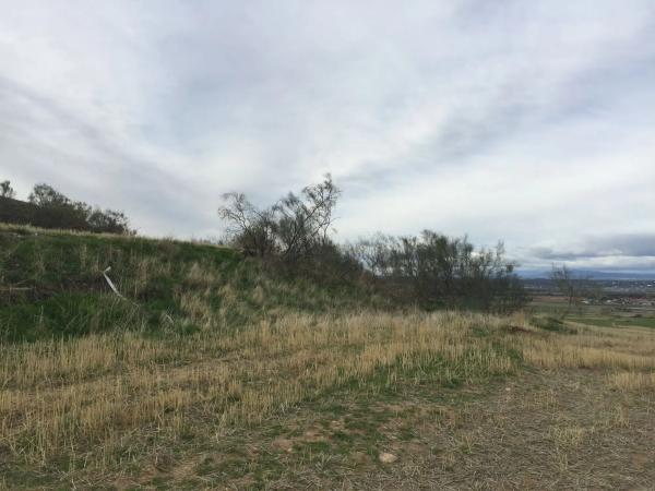 Terreno en Polígono 11, 29 Parcela