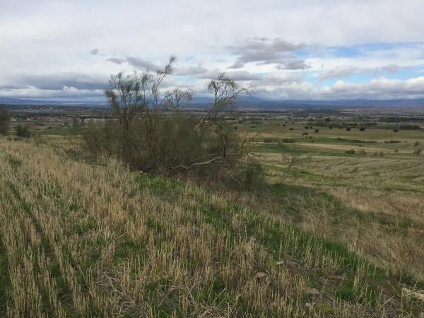 Terreno en Polígono 11, 29 Parcela