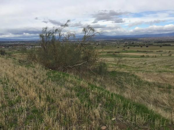 Terreno en Polígono 11, 29 Parcela