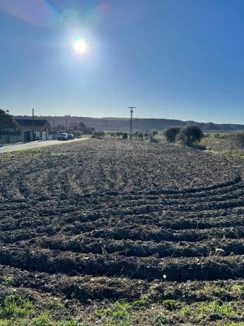 Terreno en camino de las Centeneras