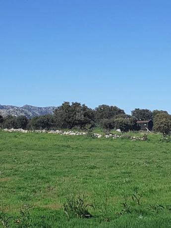 Terreno en Guadalix de la Sierra