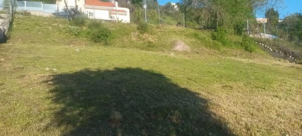 Terreno en calle Peña Cuervo, 2