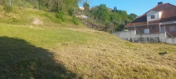 Terreno en calle Peña Cuervo, 2