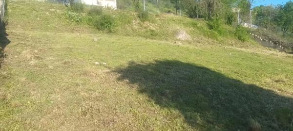 Terreno en calle Peña Cuervo, 2