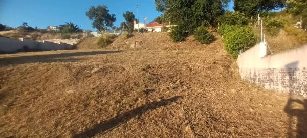 Terreno en calle Peña Cuervo, 2