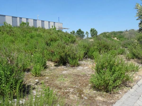Terreno en Primera Fase - Nuevo Tres Cantos