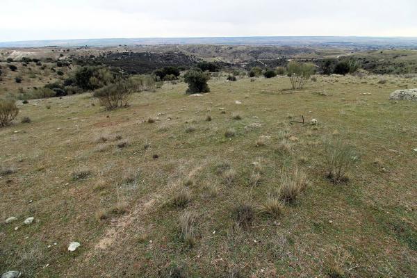 Terreno en El Vellón
