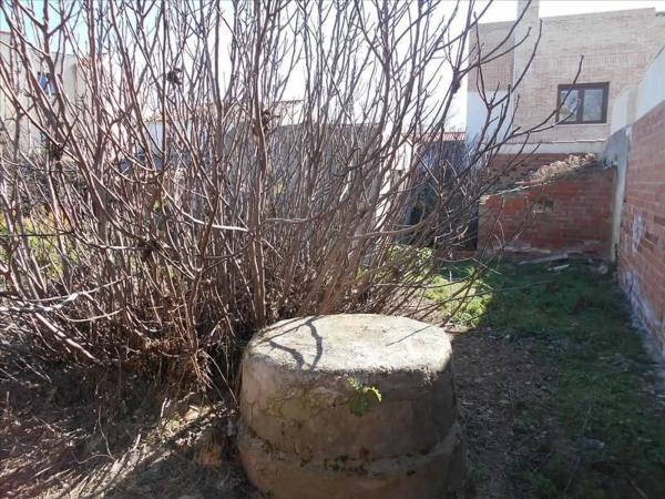 Terreno en calle Constitución