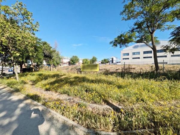 Terreno en calle Cerro de San Pedro