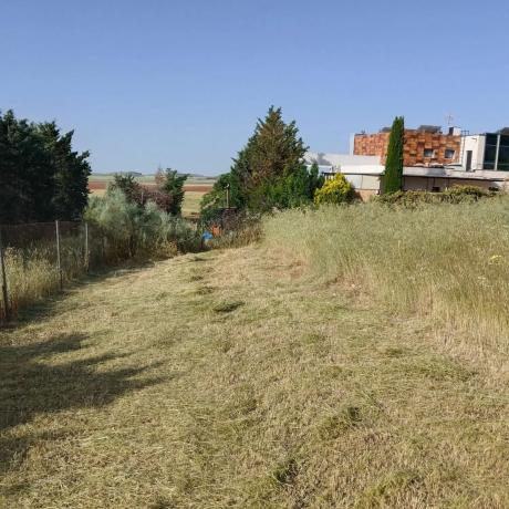 Terreno en calle Principal, 51