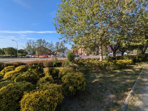 Terreno en calle Cerro de San Pedro