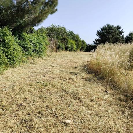 Terreno en calle Principal, 51