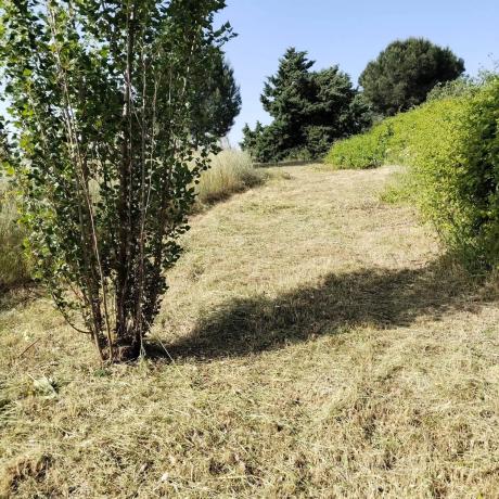 Terreno en calle Principal, 51