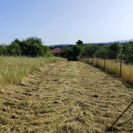 Terreno en calle Principal, 51