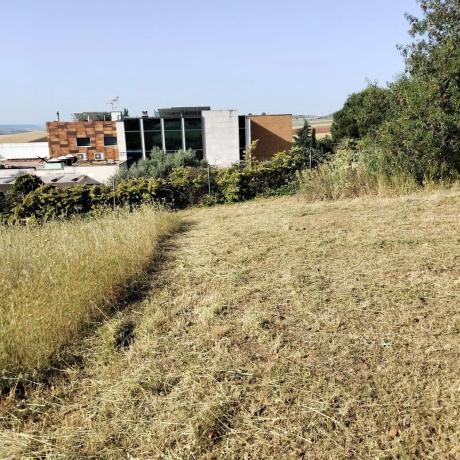 Terreno en calle Principal, 51