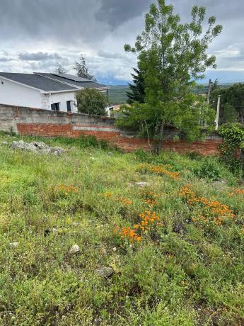 Terreno en calle San Damián