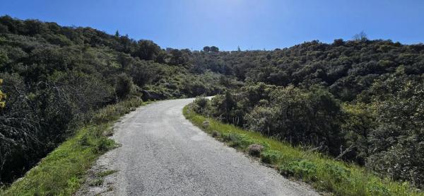 Terreno en San Agustin de Guadalix